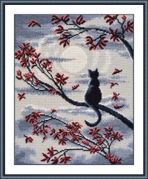 Лунный кот Лунный кот